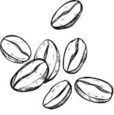 coffee beans