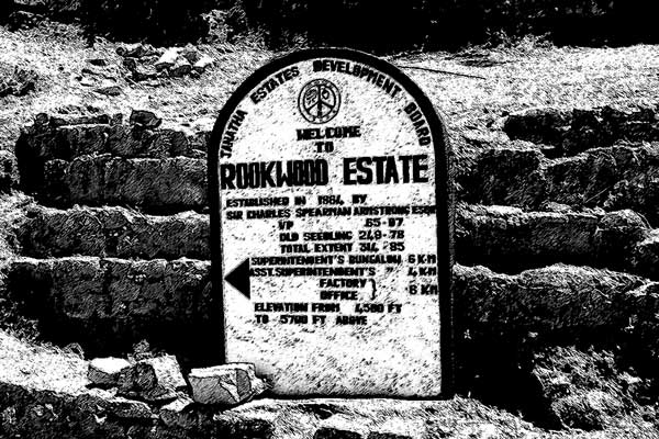 rookwood estate