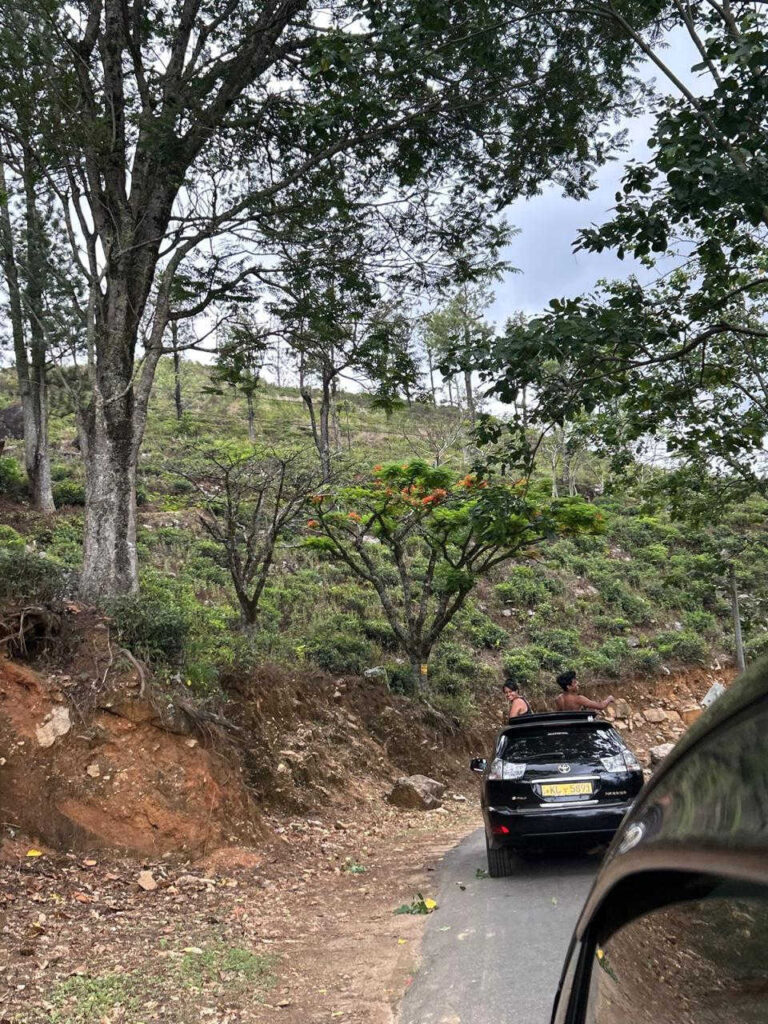 eastland gallery 01